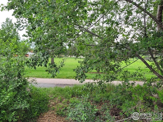 1918 Sumac Pl, Longmont, CO 80501 - view of green lawn