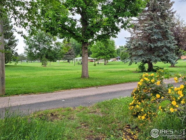 1918 Sumac Pl, Longmont, CO 80501 - view of community with a yard