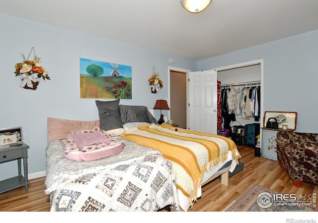 1405 Village Ln, Fort Collins, CO 80521 - bedroom with wood finished floors and a closet