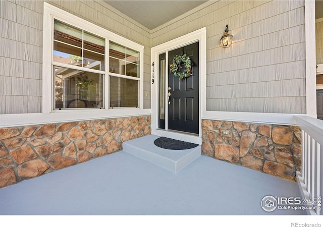 4119 Riley Dr, Longmont, CO 80503 - photo 3