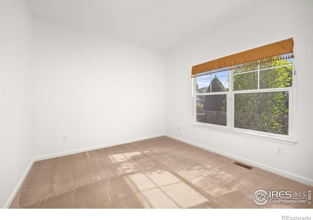 4119 Riley Dr, Longmont, CO 80503 - photo 6