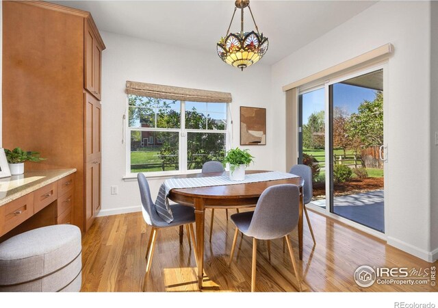 4119 Riley Dr, Longmont, CO 80503 - photo 12