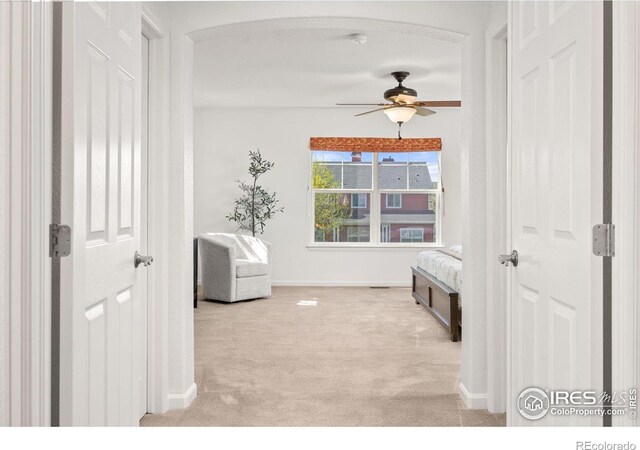 4119 Riley Dr, Longmont, CO 80503 - photo 14