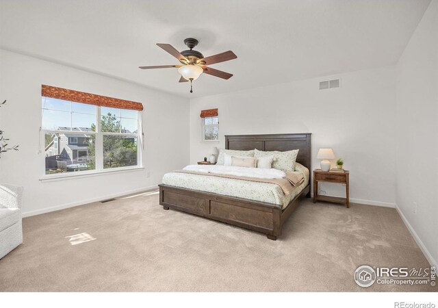 4119 Riley Dr, Longmont, CO 80503 - photo 15