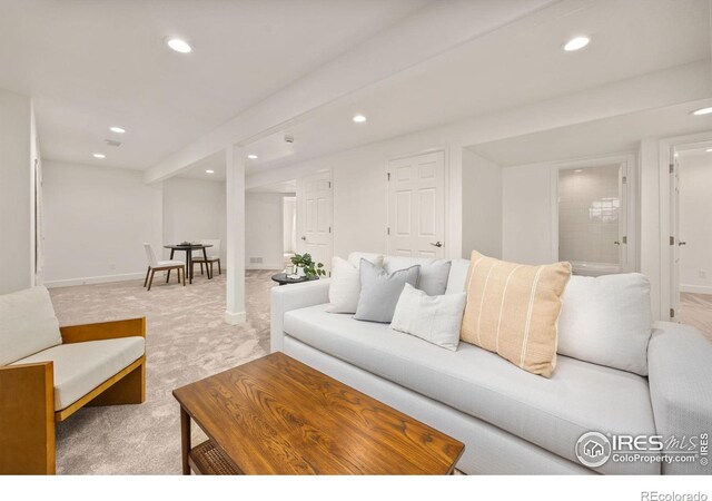 4119 Riley Dr, Longmont, CO 80503 - photo 25