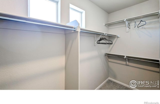 3356 Streamwood Dr, Johnstown, CO 80534 - walk in closet featuring carpet floors