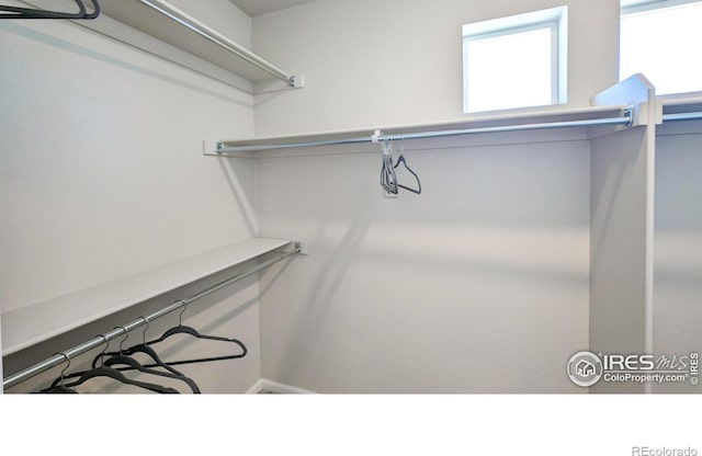 3356 Streamwood Dr, Johnstown, CO 80534 - view of walk in closet