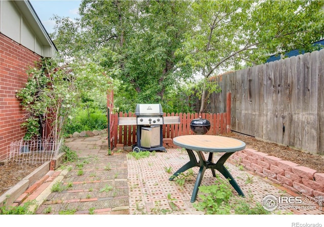 1110 Hartford Dr, Boulder, CO 80305 - view of patio with grilling area
