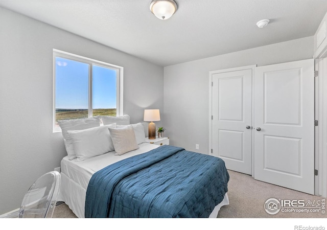 3364 Streamwood Dr, Johnstown, CO 80534 - bedroom featuring light colored carpet and a closet