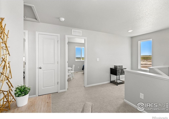 3364 Streamwood Dr, Johnstown, CO 80534 - office area featuring healthy amount of natural light and a textured ceiling