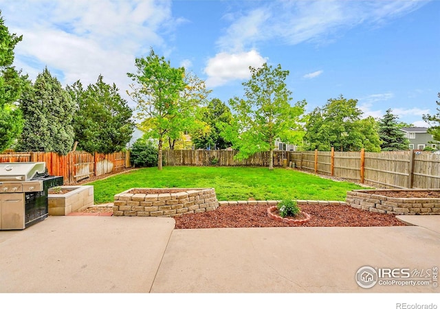 11740 Ivy St, Thornton, CO 80233 - view of patio with a grill