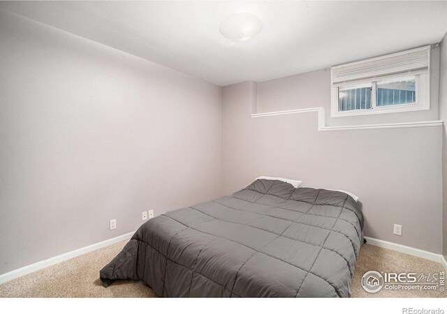 5942 Colby St, Fort Collins, CO 80525 - photo 22