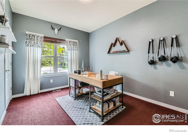 8839 Shetland Dr, Frederick, CO 80504 - home office with baseboards, carpet flooring, and a textured wall