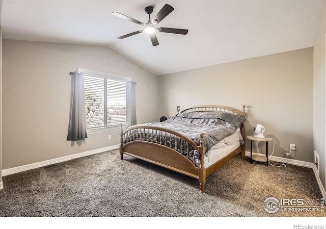 4605 Tarragon Dr, Johnstown, CO 80534 - photo 17