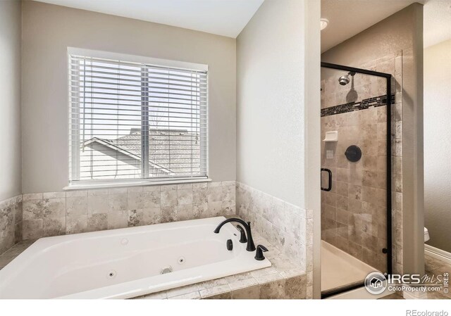 4605 Tarragon Dr, Johnstown, CO 80534 - photo 19