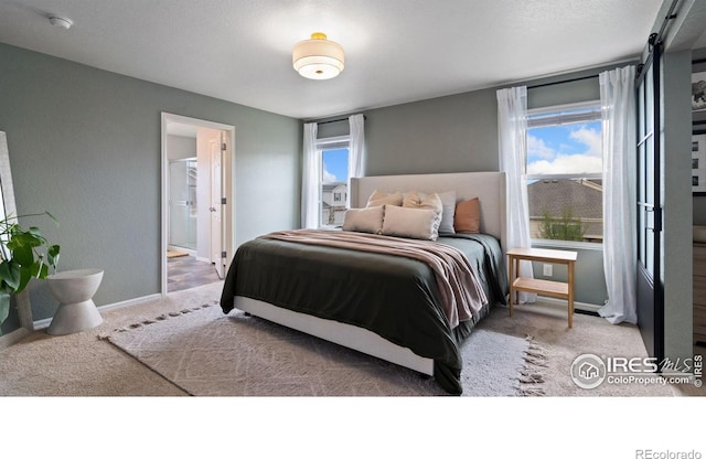 929 Charlton Dr, Windsor, CO 80550 - photo 12