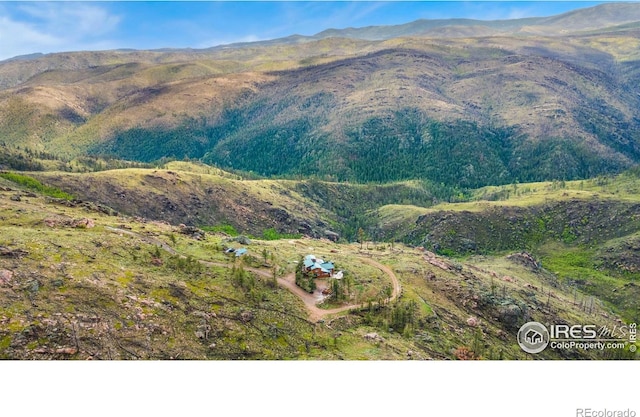 2507 Spencer Mountain Rd, Bellvue, CO 80512 - view of mountain background