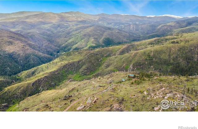 2507 Spencer Mountain Rd, Bellvue, CO 80512 - view of mountain backdrop
