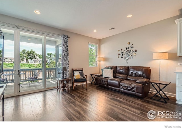 4343 E 96th Way, Thornton, CO 80229 - living room with dark wood-style floors, baseboards, and recessed lighting