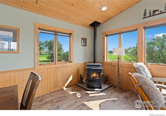 32924 County Road 29, Greeley, CO 80631 - home office with a wainscoted wall, a wood stove, plenty of natural light, lofted ceiling, and wood walls