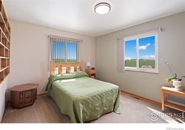 32924 County Road 29, Greeley, CO 80631 - bedroom with carpet floors and baseboards