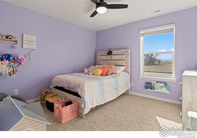 1255 Baker Pass St, Severance, CO 80550