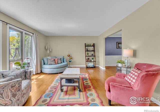 11290 Ranch Pl, Denver, CO 80234 - living area featuring wood finished floors and baseboards