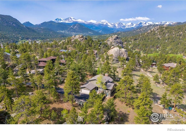 341 Homesteader Ln, Estes Park, CO 80517 - photo 1