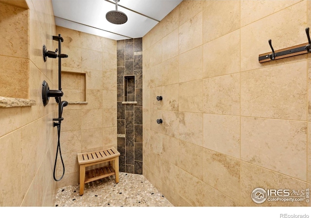 2325 Birdie Way, Milliken, CO 80543 - bathroom with tiled shower