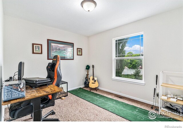 264 Alder Ave, Johnstown, CO 80534 - carpeted office space featuring baseboards