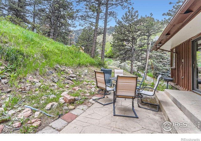 27 Arrowleaf Ct, Boulder, CO 80304 - photo 24