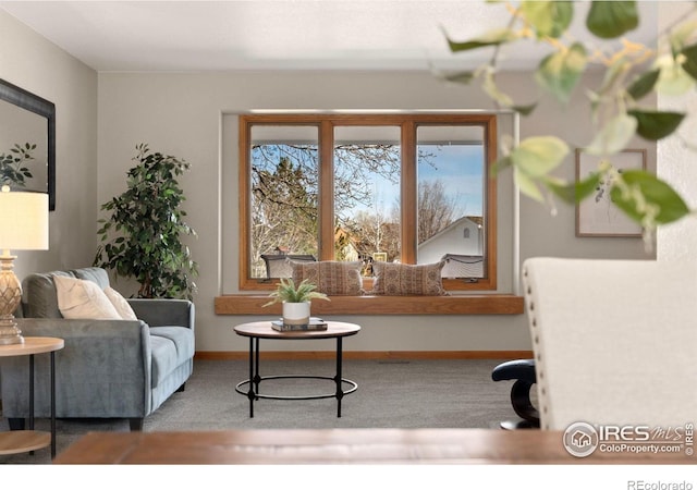 2508 Doolittle Ct, Fort Collins, CO 80526 - photo 3