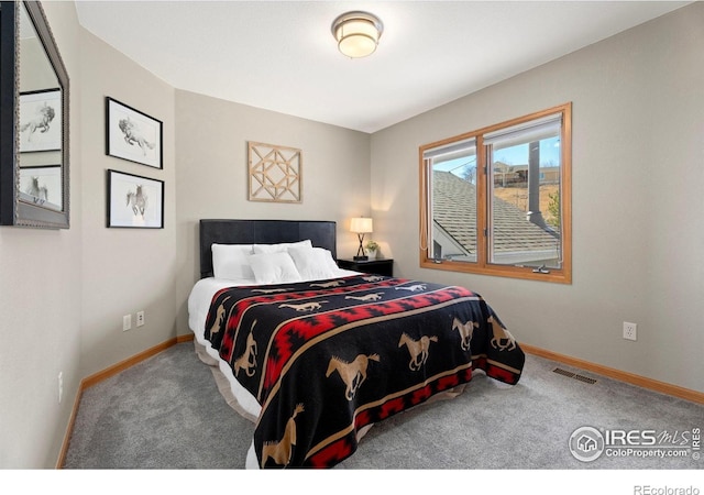 2508 Doolittle Ct, Fort Collins, CO 80526 - photo 24