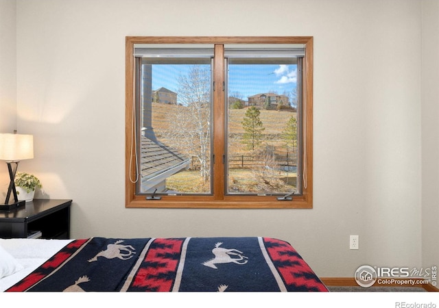 2508 Doolittle Ct, Fort Collins, CO 80526 - photo 25