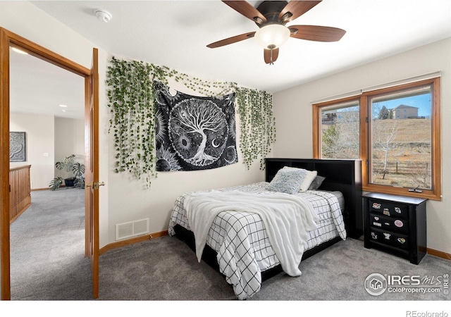 2508 Doolittle Ct, Fort Collins, CO 80526 - photo 26
