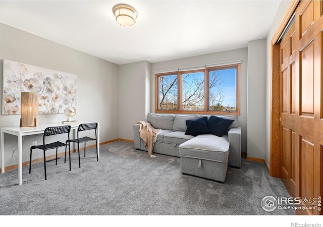 2508 Doolittle Ct, Fort Collins, CO 80526 - photo 27