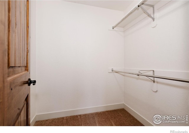 455 Radiant Dr, Loveland, CO 80538 - walk in closet featuring light carpet