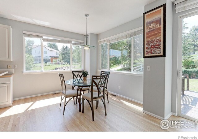 7858 Oban Ct, Lone Tree, CO 80124 - dining space with light wood-style floors and baseboards