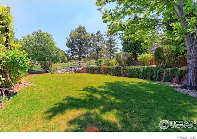 7858 Oban Ct, Lone Tree, CO 80124 - view of yard