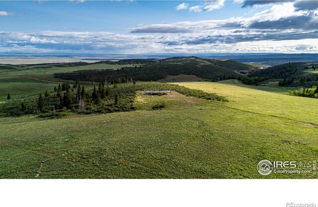 209 Forb Ln, Red Feather Lakes, CO 80545 - photo 4