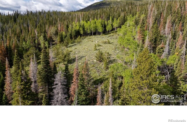 209 Forb Ln, Red Feather Lakes, CO 80545 - photo 35