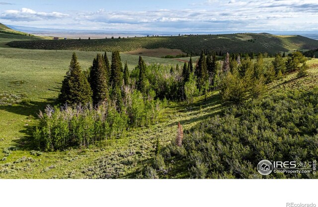 209 Forb Ln, Red Feather Lakes, CO 80545 - photo 31