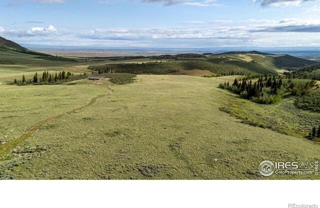 209 Forb Ln, Red Feather Lakes, CO 80545 - photo 34