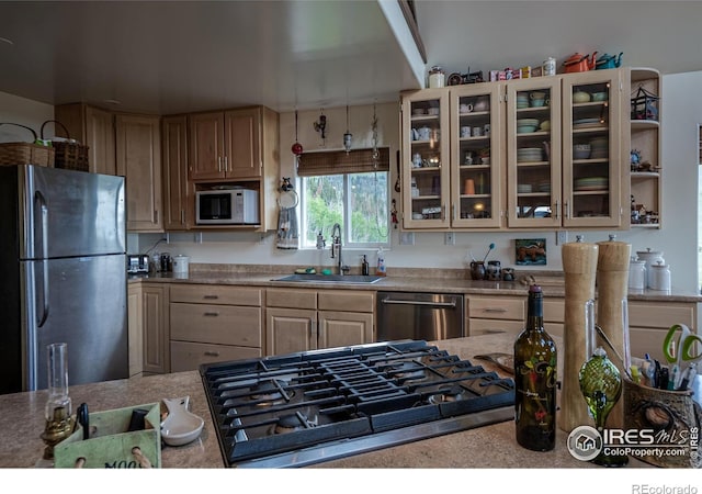 209 Forb Ln, Red Feather Lakes, CO 80545 - photo 20