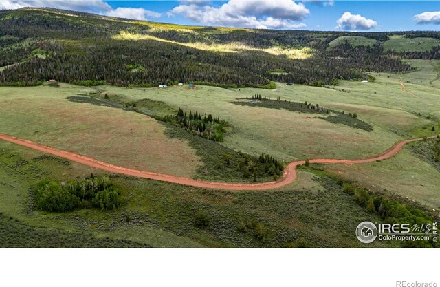 209 Forb Ln, Red Feather Lakes, CO 80545 - photo 14