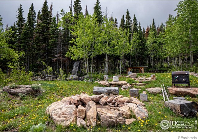 209 Forb Ln, Red Feather Lakes, CO 80545 - photo 36