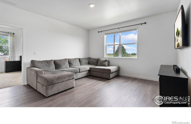 4709 Lynxes Way, Johnstown, CO 80534 - living room with wood finished floors and baseboards
