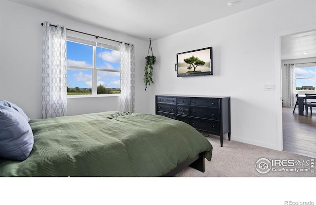 4709 Lynxes Way, Johnstown, CO 80534 - carpeted bedroom with baseboards