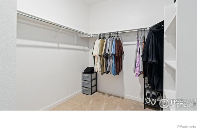 4709 Lynxes Way, Johnstown, CO 80534 - spacious closet with carpet flooring