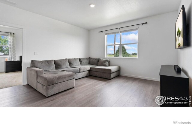 4709 Lynxes Way, Johnstown, CO 80534 - living area with wood finished floors
